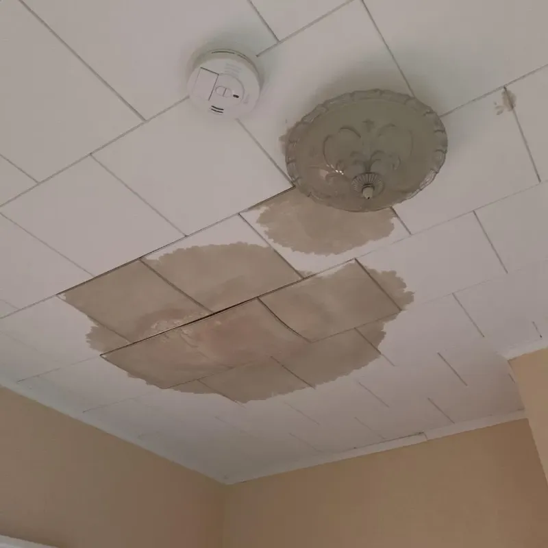 Ceiling Water Damage Repair in Slinger, WI