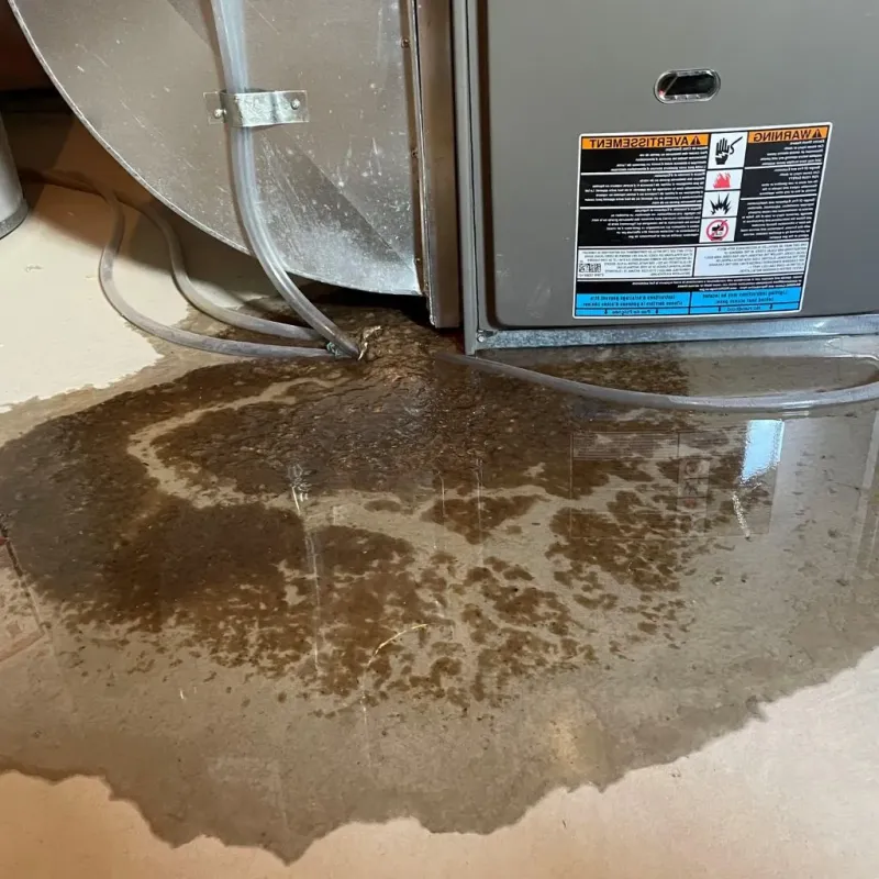 Pipe Burst and Leak Restoration in Slinger, WI